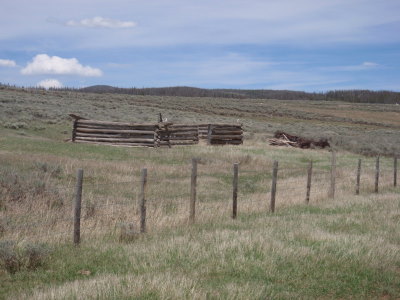 Old homestead and out-building.